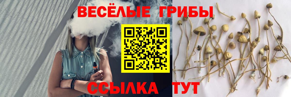 Галлюциногенные грибы прущие грибы Советский